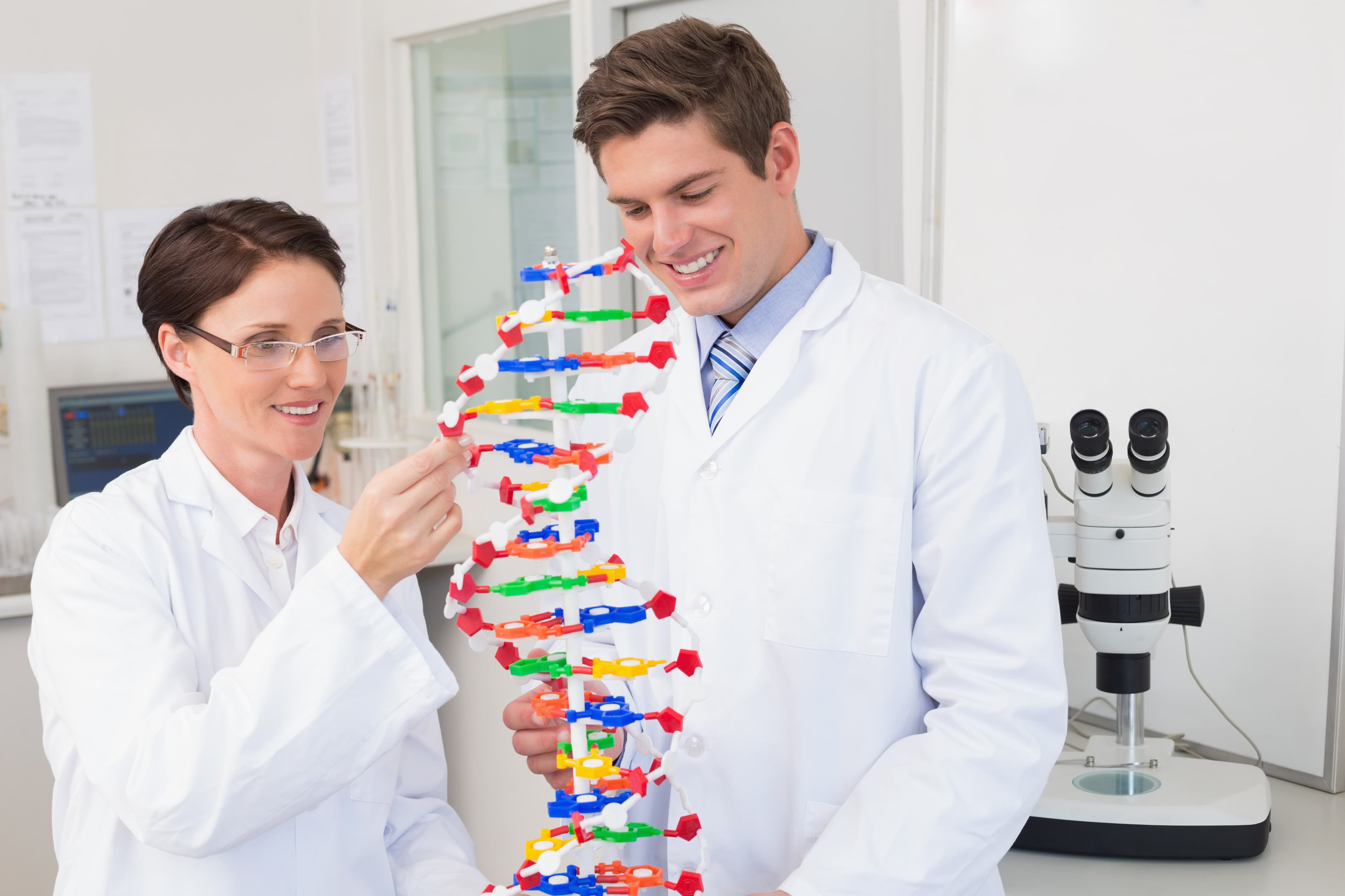 What are the Steps involved in DNA Replication?